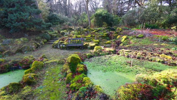 Fernhill Gardens will be turned into a public park following input from the public. Photo: irishhome.ie