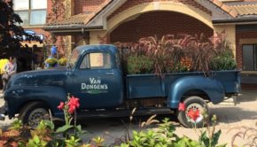 The International Garden Centre Association’s 2017 Congress was hosted by the Canadian Nursery Landscape Association in Niagara Falls, Ontario.