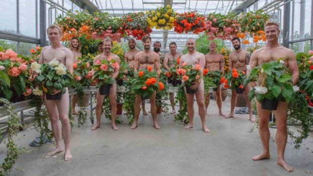 The Grubby Gardeners strutting their stuff for charity. ©Jonathan Ward