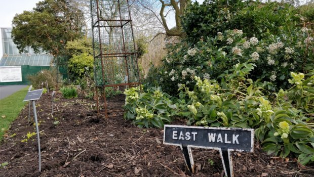 East Walk, leading up to the entrance of the new Teagasc College of Amenity Horticulture at the National Botanic Gardens. Photo: Peter Stears.