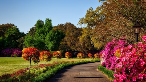 Garden maintenance, planting, pruning, and picking are some of the requirements involved with this tender.