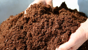 compost