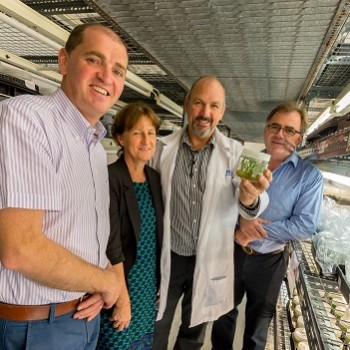 MyPlant Tissue Culture Laboratory and Lowes TC Pty have entered into a new joint venture which is seen as boost for the Irish horticulture industry