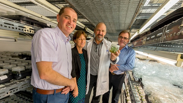 MyPlant Tissue Culture Laboratory and Lowes TC Pty have entered into a new joint venture which is seen as boost for the Irish horticulture industry