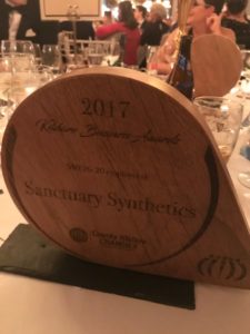 The trophy awarded to Sanctuary Synthetics upon winning the Small and Medium Enterprise business of the year for 6-20 employees. Photo: Mark O'Loughlin.
