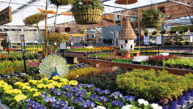 Windyridge Nurseries & Garden Centre - a family run business, serving its community for nearly 60 years. Photo: Gerry Daly / The Irish Garden.