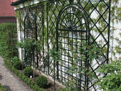 Treillage Wall Trellis. Photo: The Irish Garden.