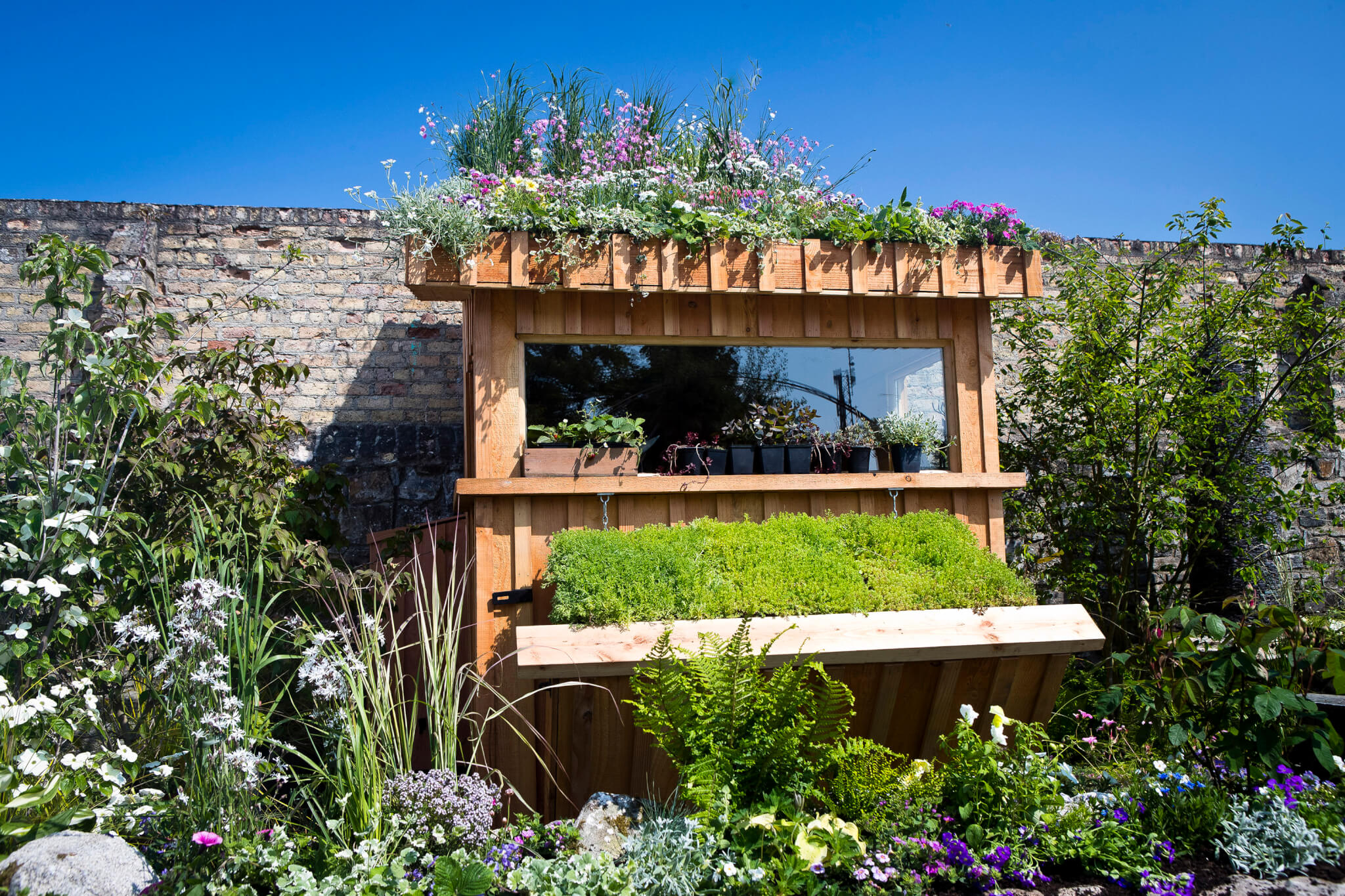 Growing Shed Garden designed by Melanie Webb. Photo: Iain White - Fennell Photography.