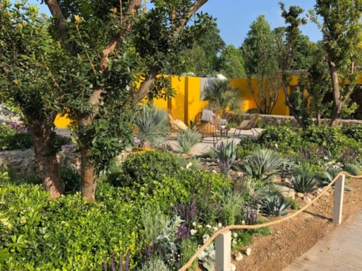 Alan Rudden’s Bloom 2018 Gold Medal winning garden. Photo: ALCI.