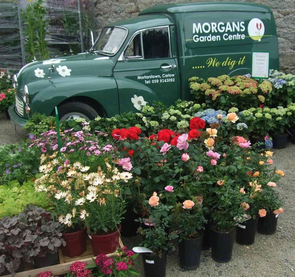Morgans-Garden-Centre