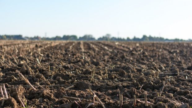 Stop soil pollution is objective for this year's World Soil Day. Photo: Jan Kroon.
