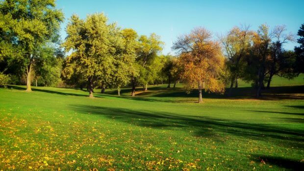 Geaney & O'Neill is a family run business with over 35 years of experience in the sale and service of professional turf care equipment in Ireland.
