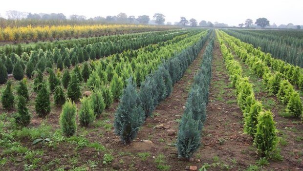 Growtrade Ireland S Online Source For Latest News And Insight You Need To Have The Right Tools Do Best Job That S Where Pg