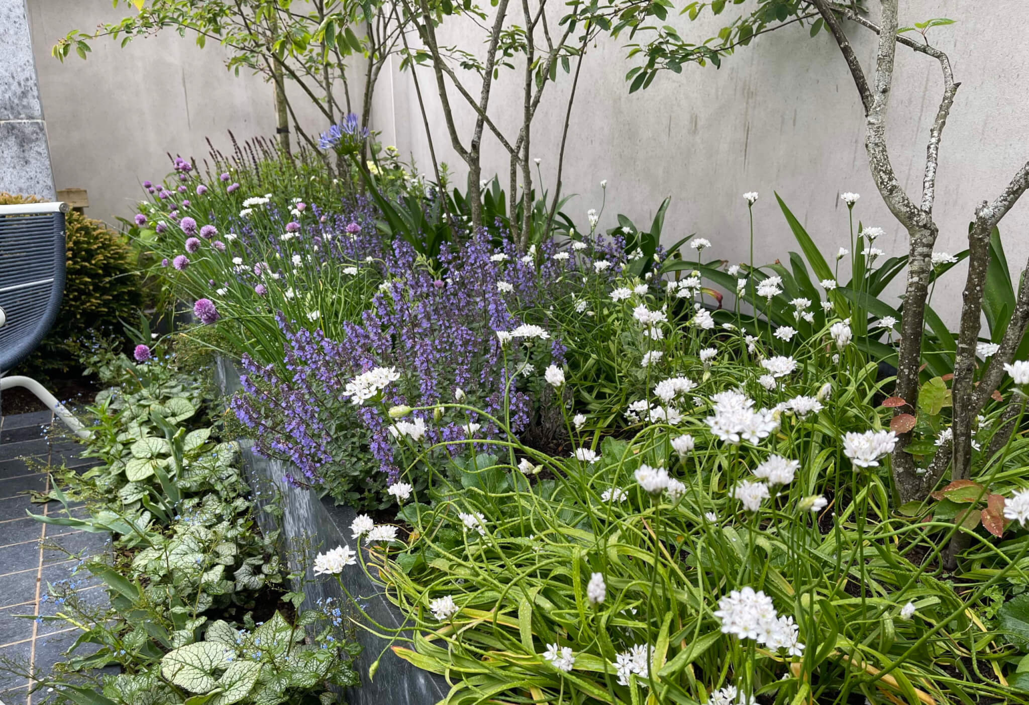Cork landscaper wins international prize for urban garden