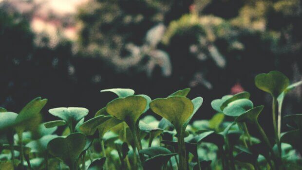 Photo via Yusuf Khalil from Pexels