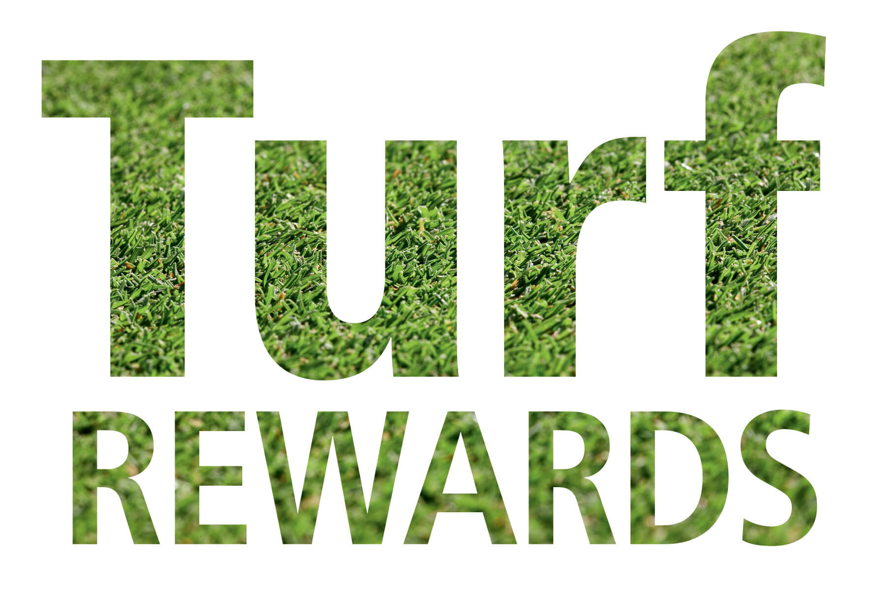 ICL and Syngenta introduce Turf Rewards 2024