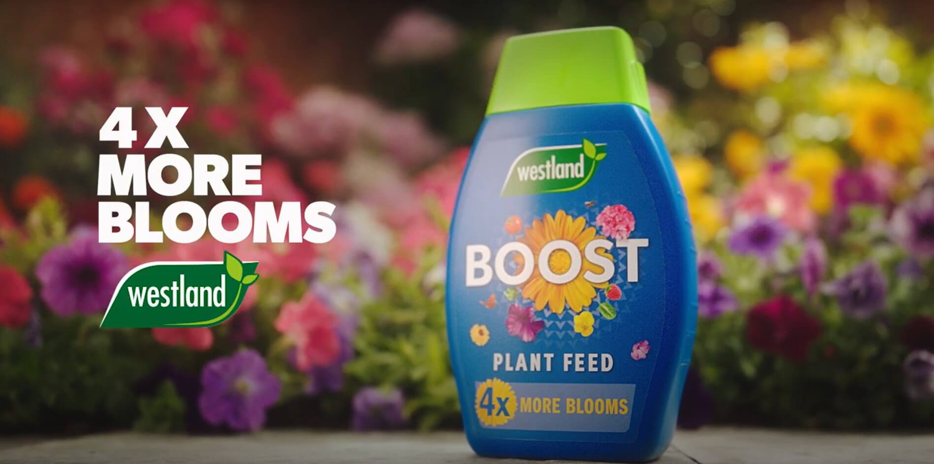 Boost plant feed returns to TV for Spring Season
