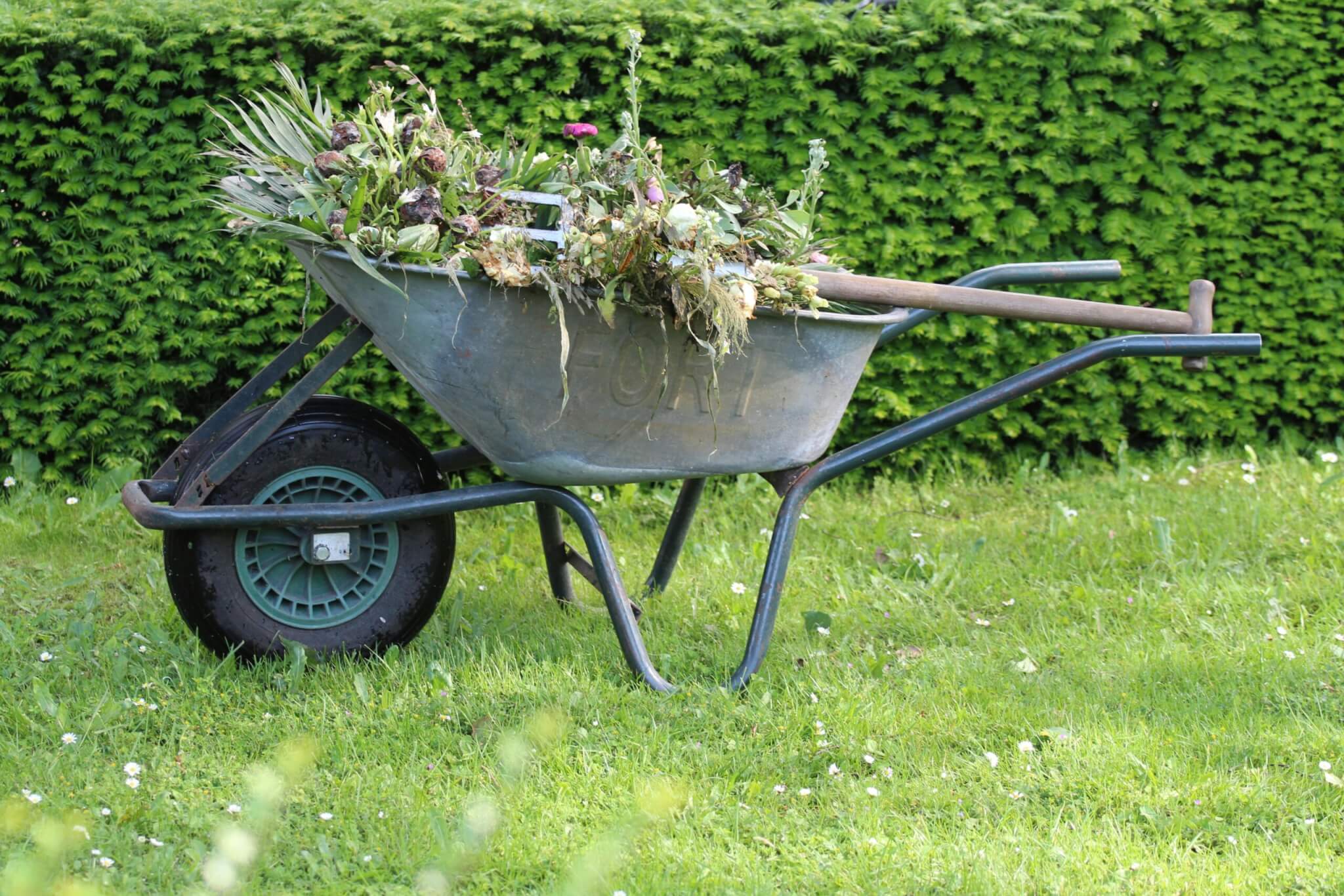 Illegal PPP for growers from June