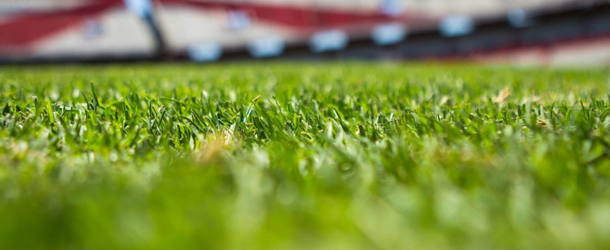 Tender opportunity for amenity grasscare services at SETU Arena