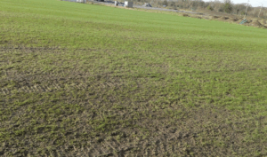 GLAS Special: Audit the pitch structure of your sportspitch 