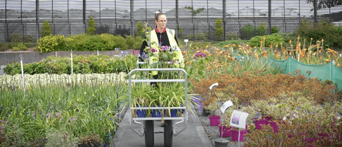 Niamh wins Teagasc/FBD Student of the Year