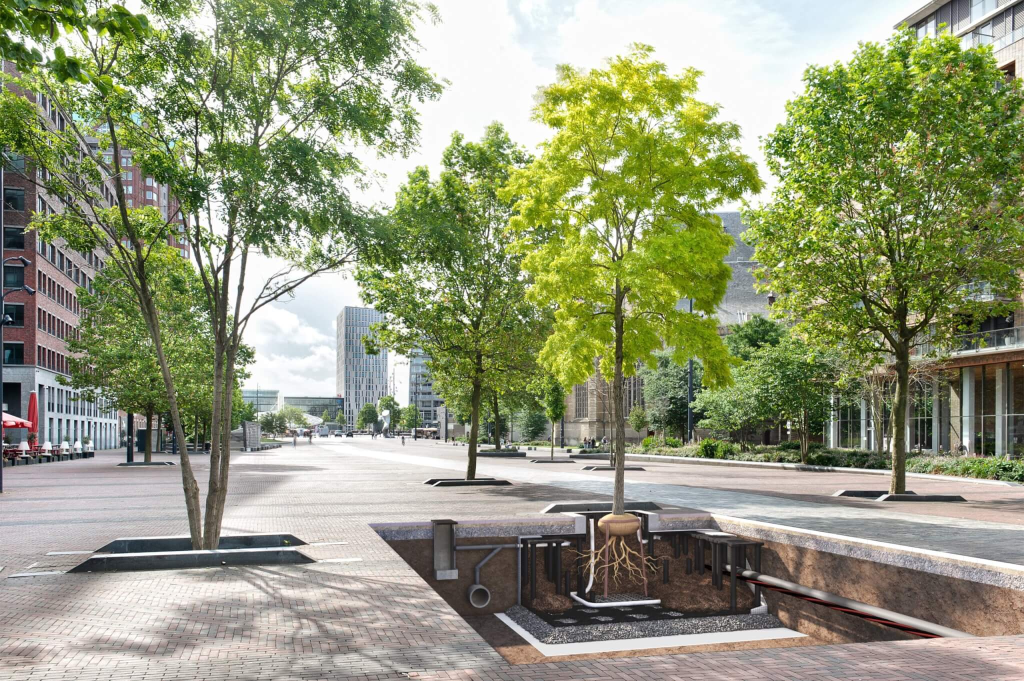 Green-tech to showcase TreeParker at ILI conference 2025