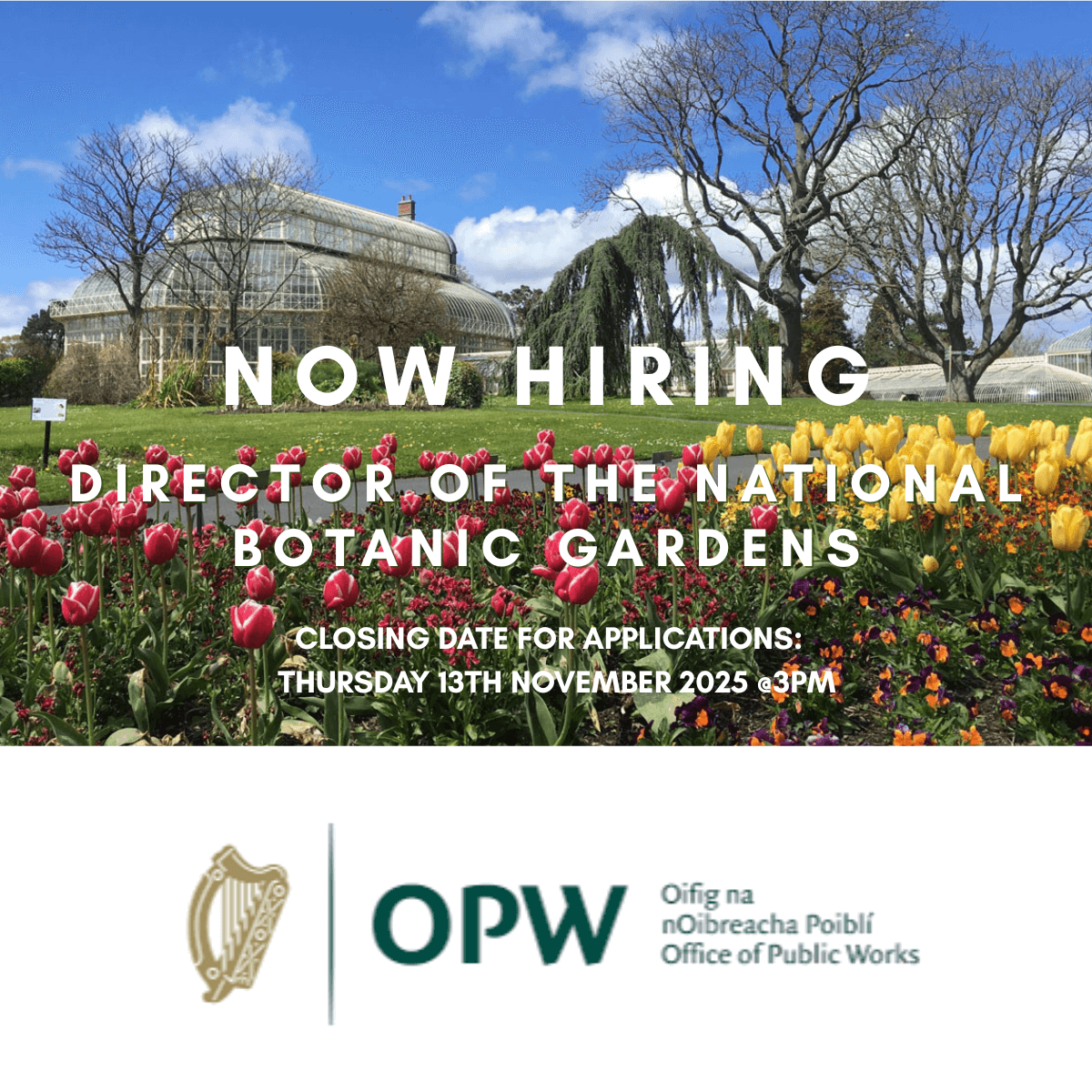 Now hiring: director of Botanic Gardens