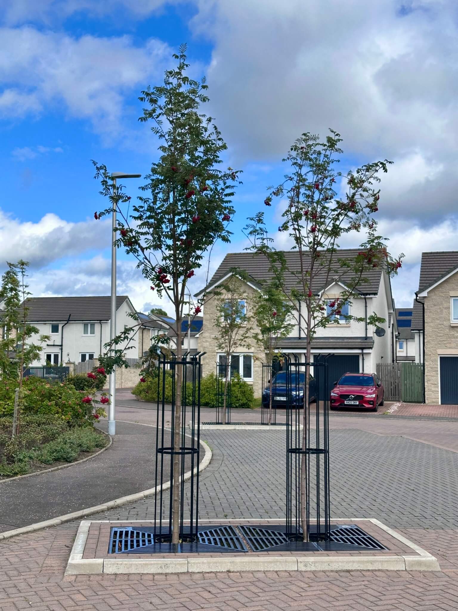 Green-tech aids increase in biodiversity and water management of new homes project