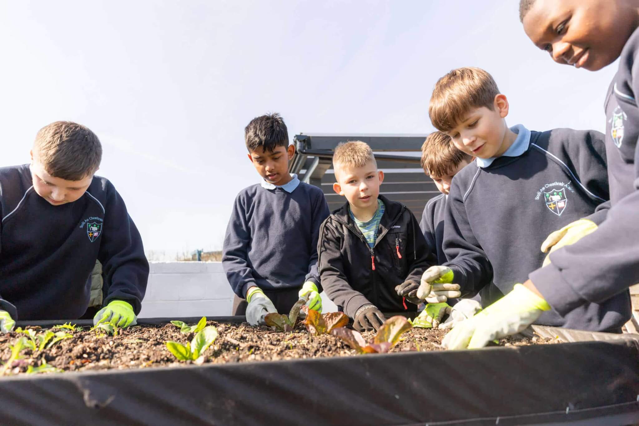 The story of the GLAS @ TU Dublin community garden