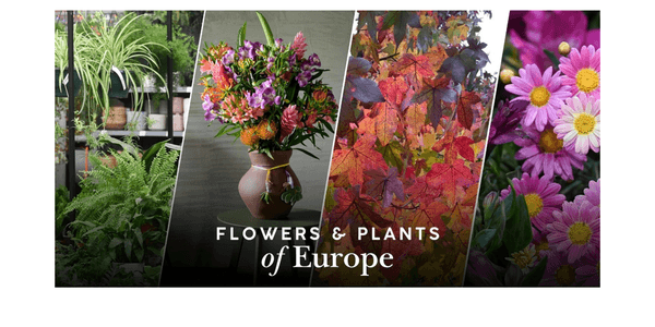 Flowers and Plants of Europe 2026 overview