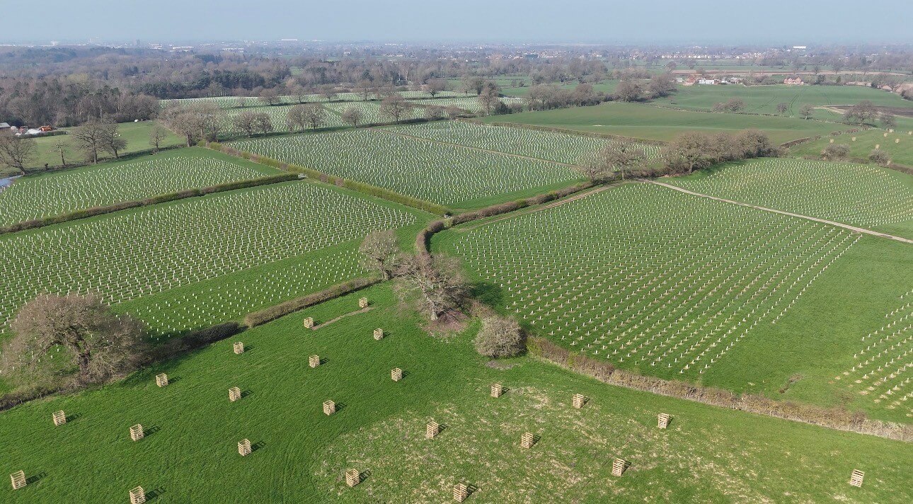 Green-tech supports CLECO with large-scale woodland creation scheme