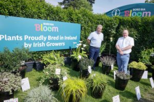 GLAS Special: An insight into Bord Bia’s services for the horticulture industry