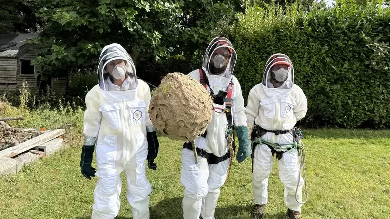 Invasive Species Bureau launched in Ireland