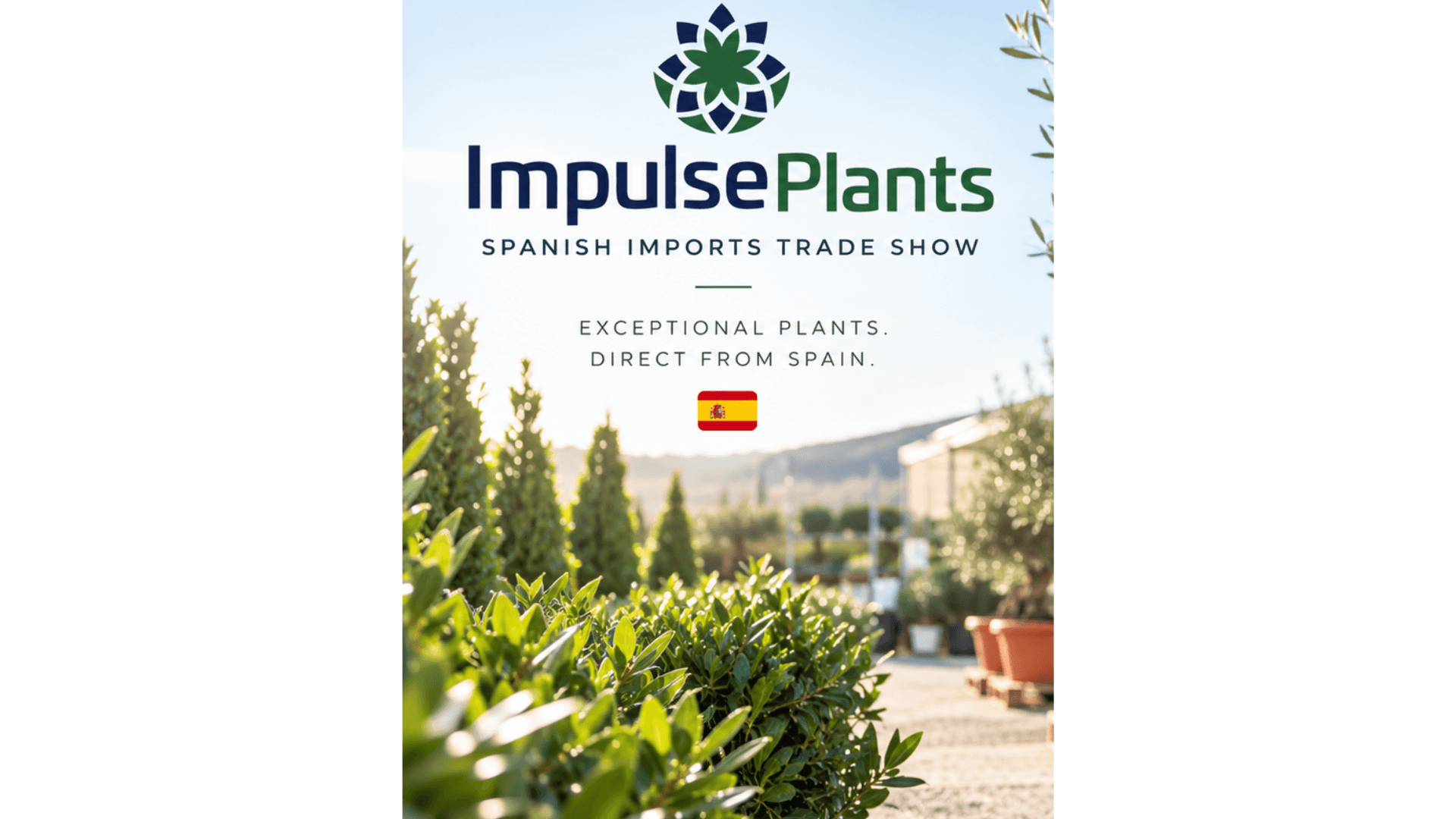 Impulse Plants and Amour Nurseries bring European plant selection closer to Irish buyers