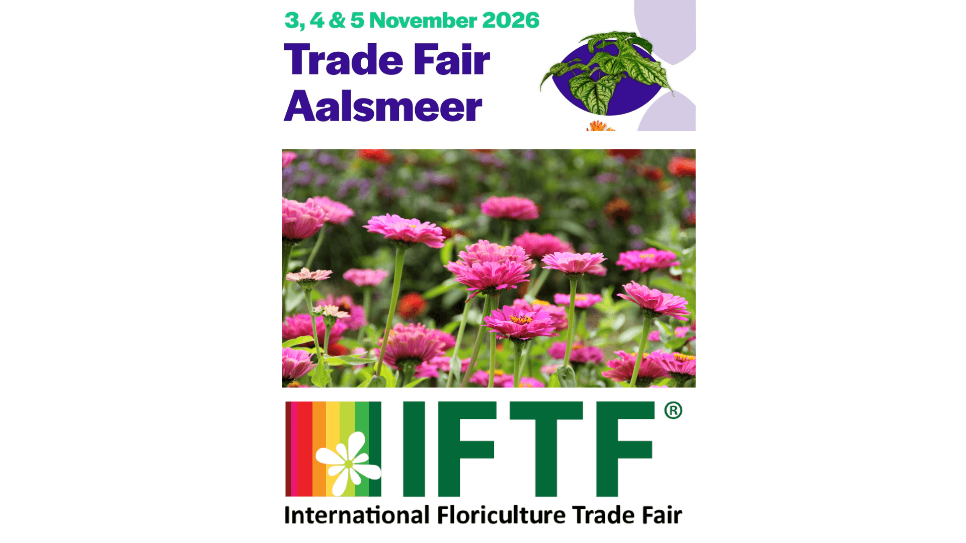 Two major Dutch floriculture events set to shape the European flower and plant trade