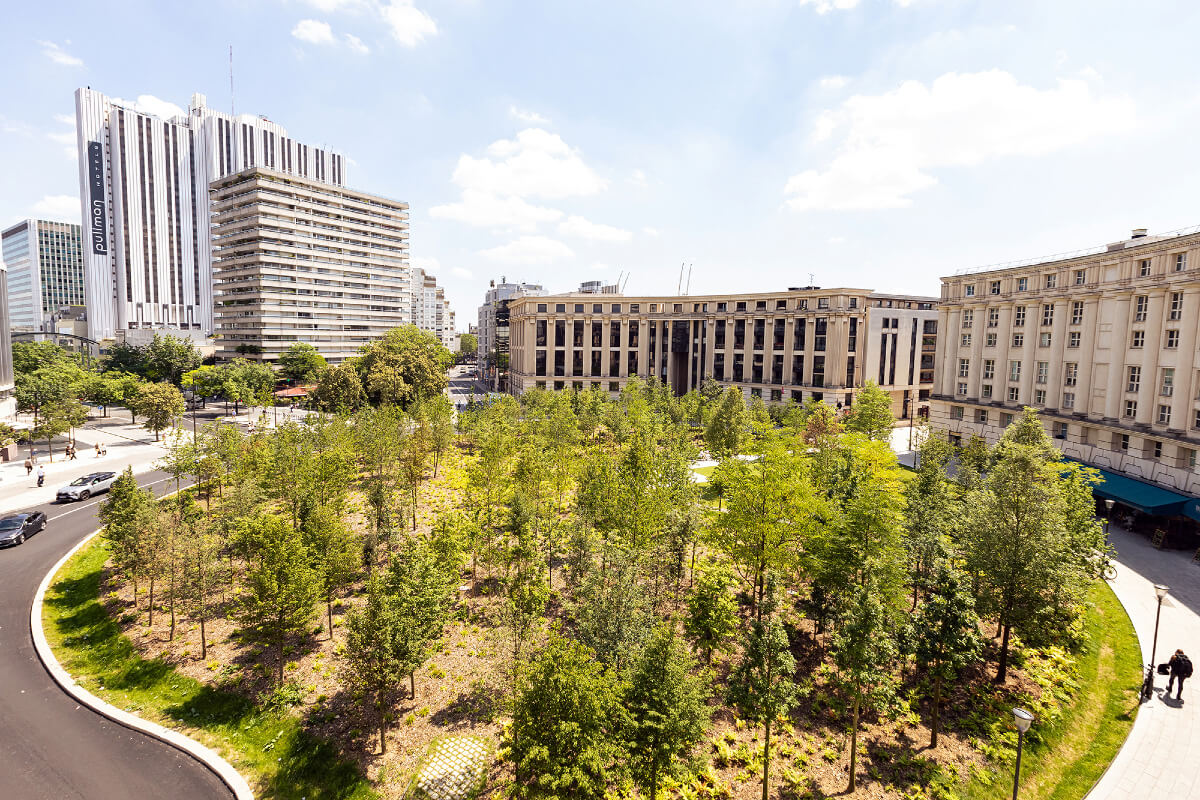 Paris named grand winner of the AIPH World Green City Awards 2026